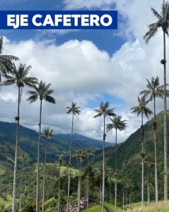 EJE-CAFETERO